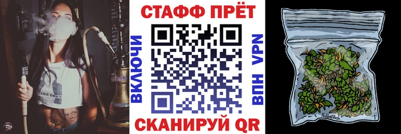 Виды наркотиков купить Грайворон Псилоцибиновые грибы  Экстази  БУТИРАТ  Гашиш  СОЛЬ  МЕФ  COCAIN 