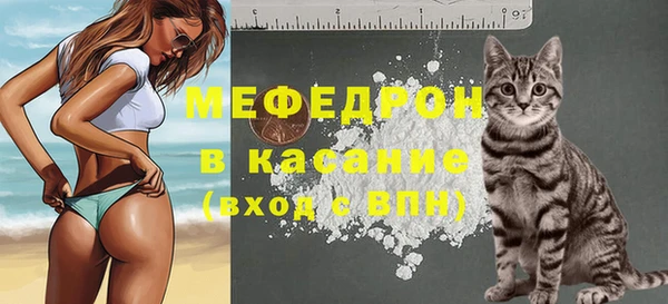 МДПВ Липки
