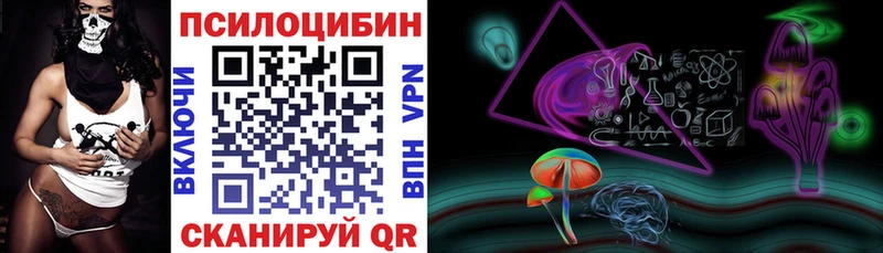 купить наркотики цена  Грайворон  Галлюциногенные грибы прущие грибы 